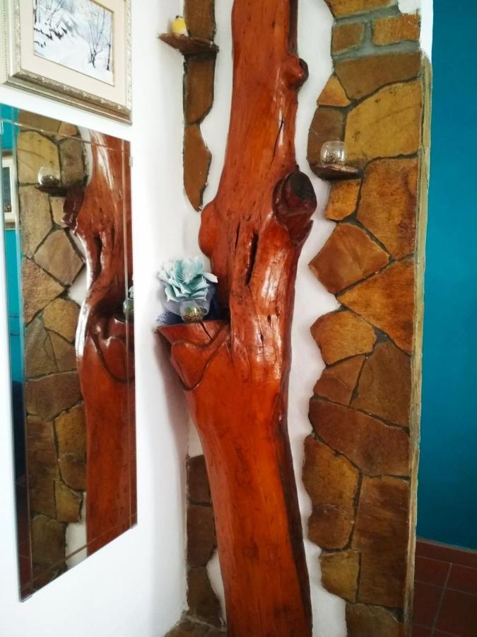 فيرّارا B&B Le Muse المظهر الخارجي الصورة